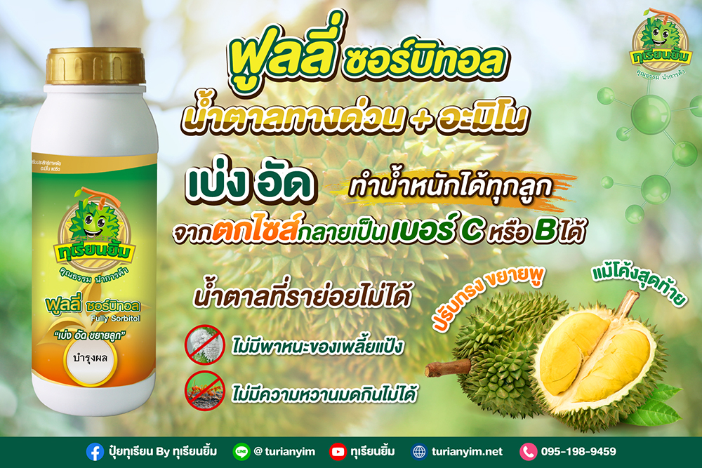 ฟูลลี่ซอร์บิทอล