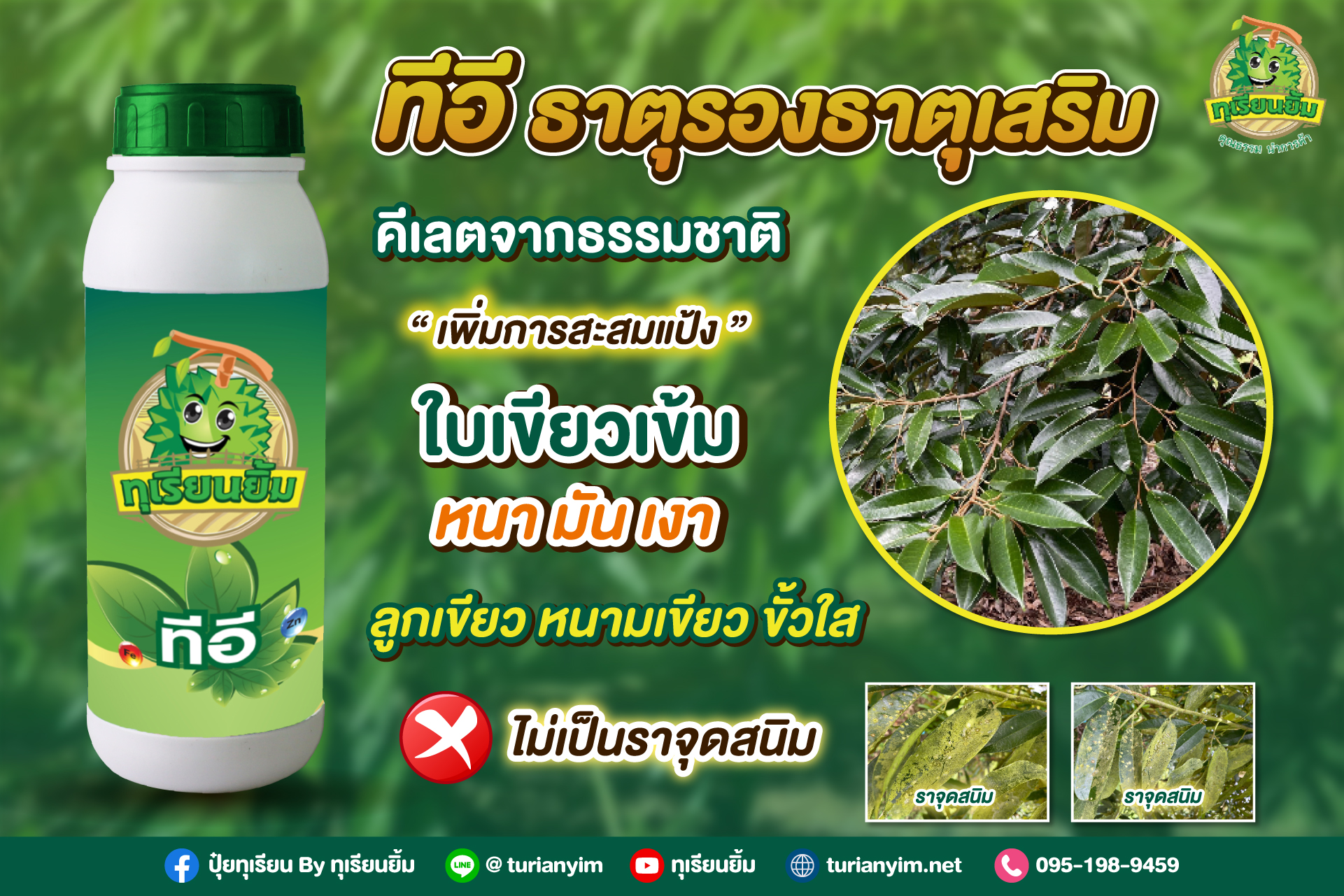Slide8-ทีอี-รองเสริม