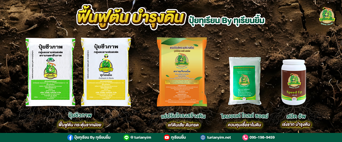 ฟื้นฟูต้น-บำรุงดิน