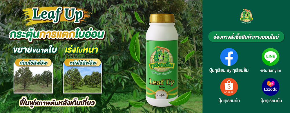 กระตุ้นแตกใบ