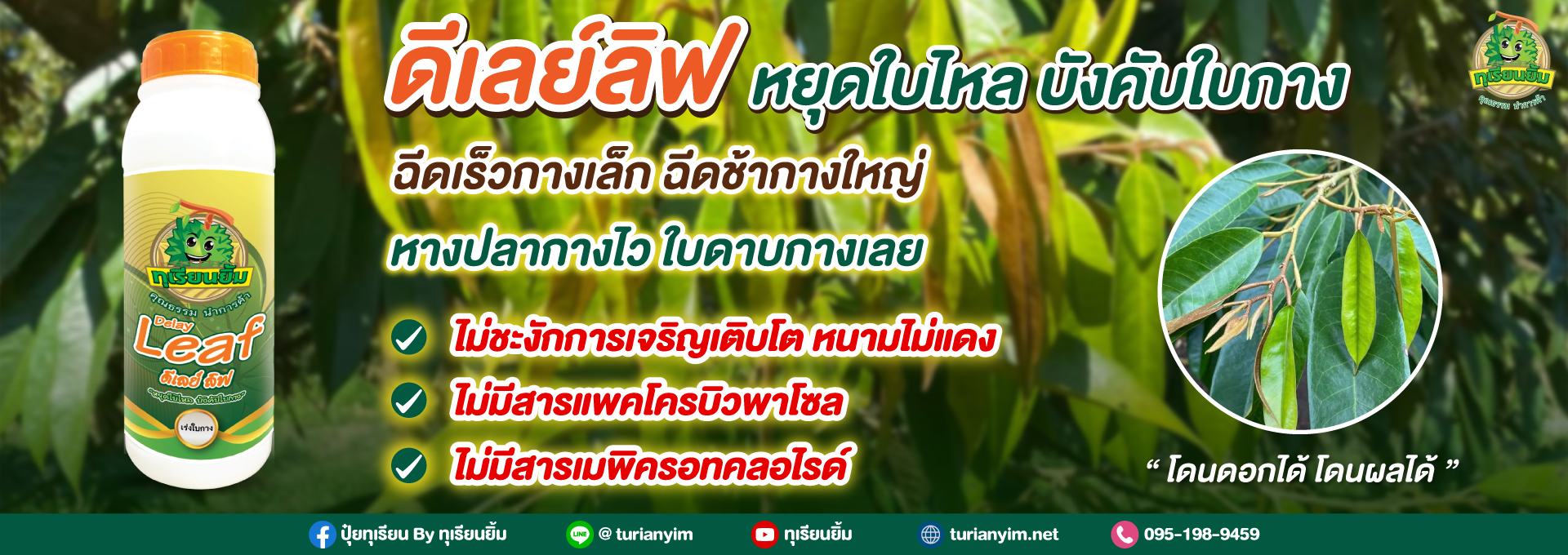 footer-ดีเลย์ลีฟ-หยุดใบไหล