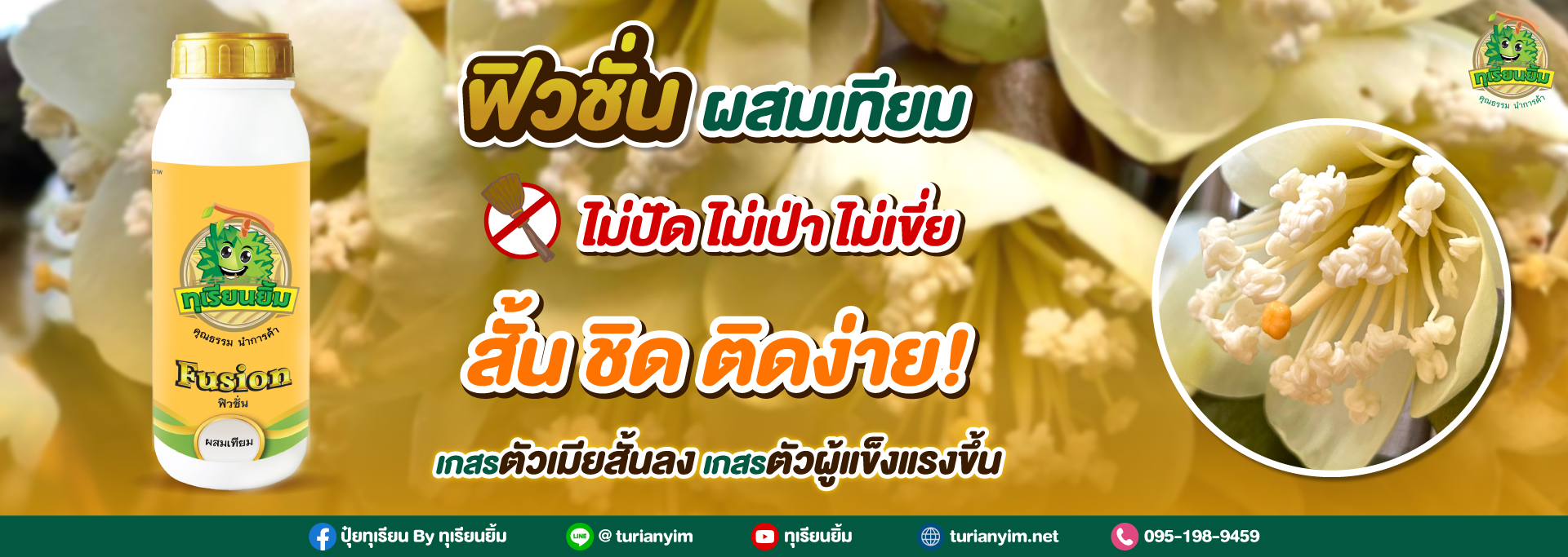 footer-ฟิวชั่น-ผสมเทียม