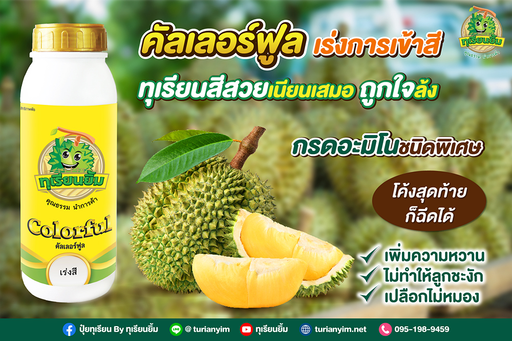 คัลเลอร์ฟูล