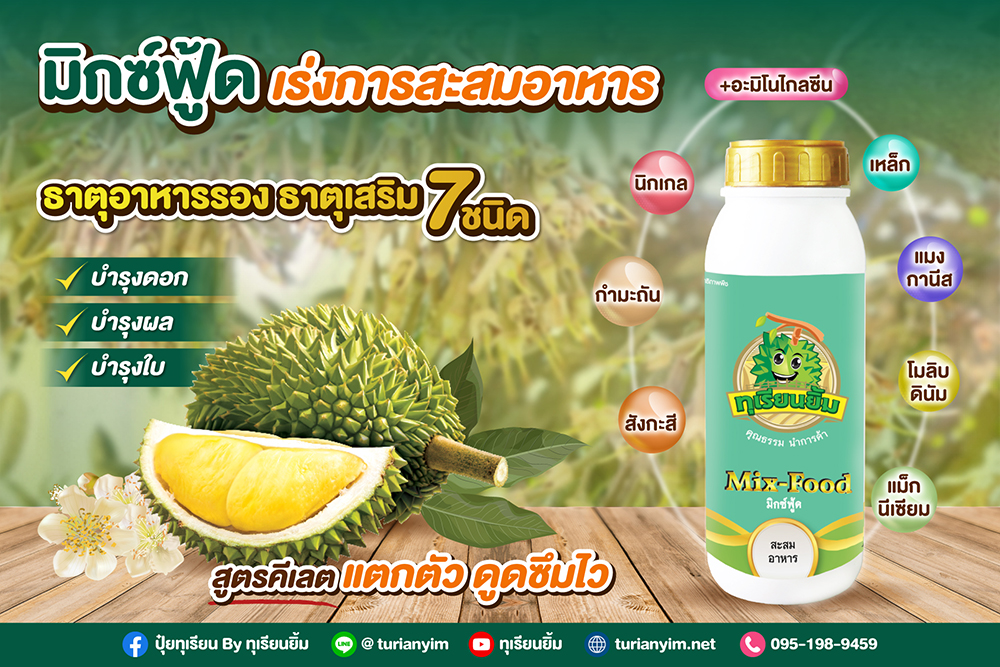 มิกซ์ฟู้ด