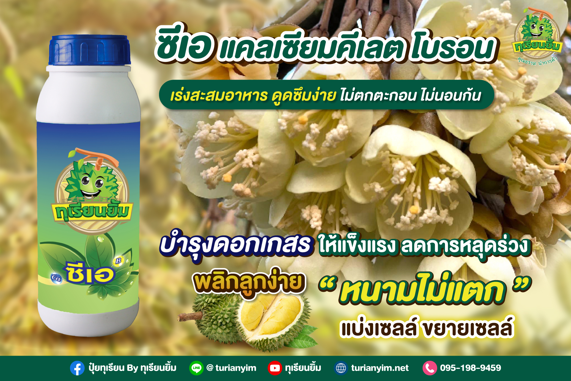 ซีเอ-แคลเซียมโบรอน