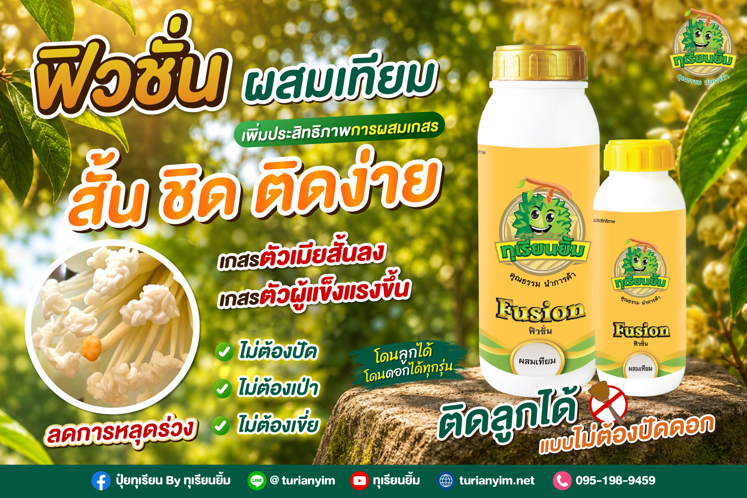 Banner-ฟิวชั่น