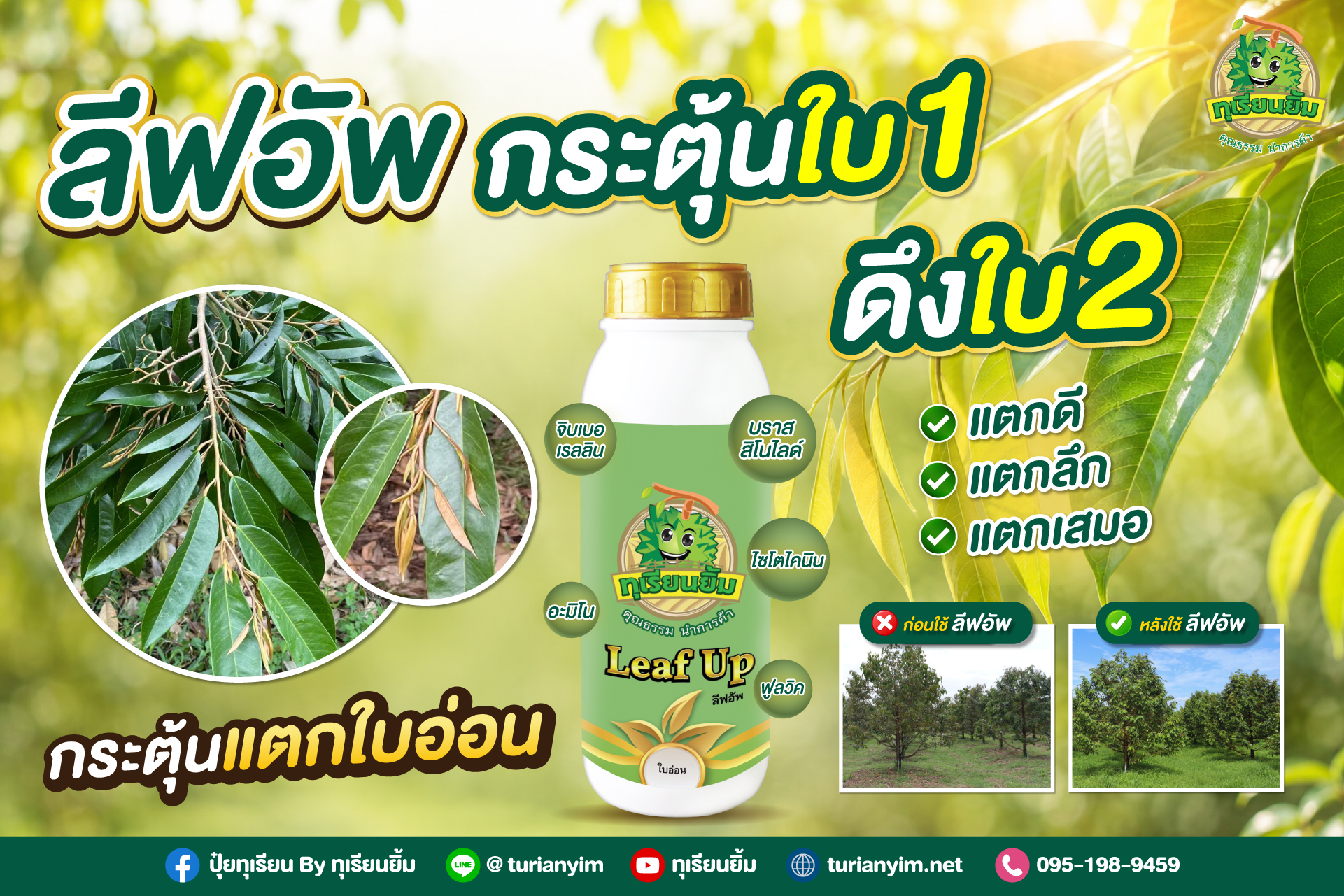 Banner-ลีฟอัพ