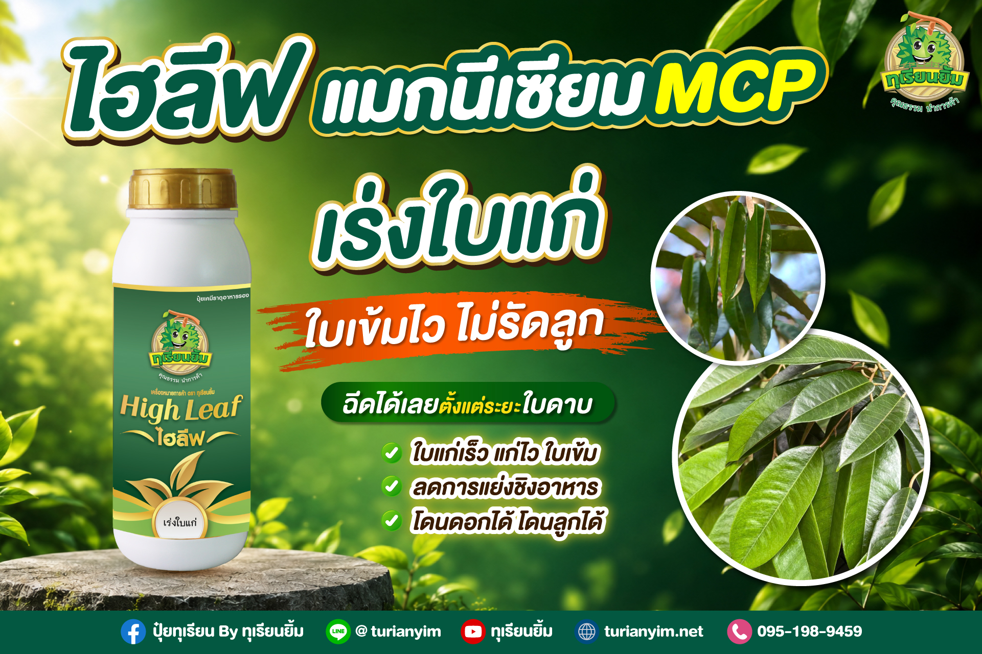 Banner-ไฮลีฟ