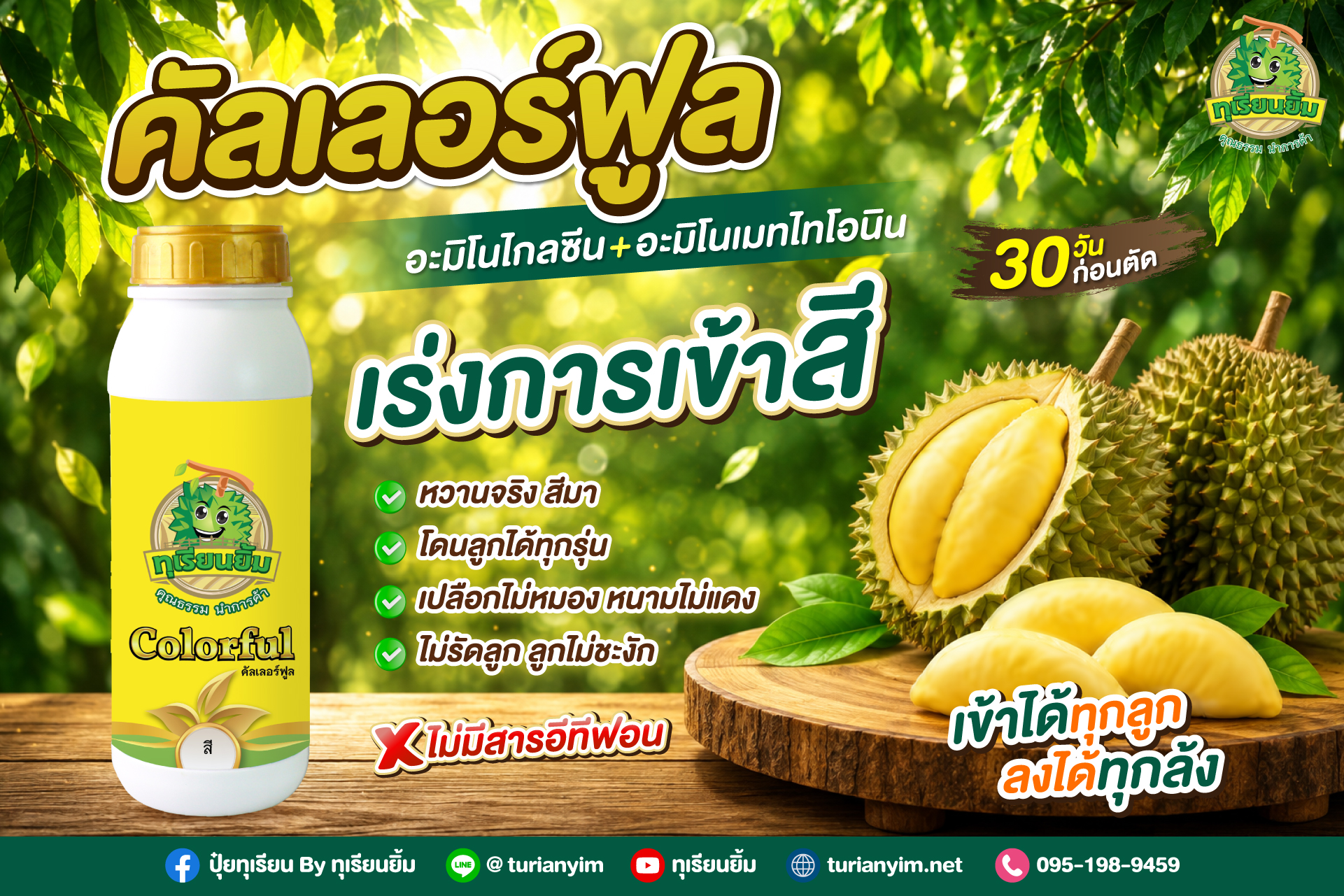 BannerSlide_คัลเลอร์ฟูล