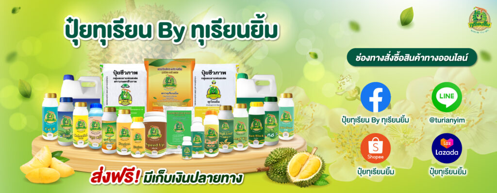 footer-ทุเรียนยิ้ม