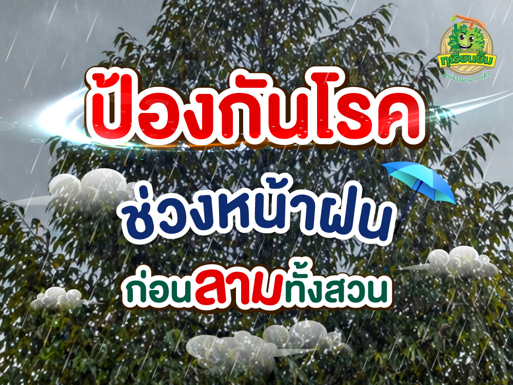 ป้องกันโรคหน้าฝน