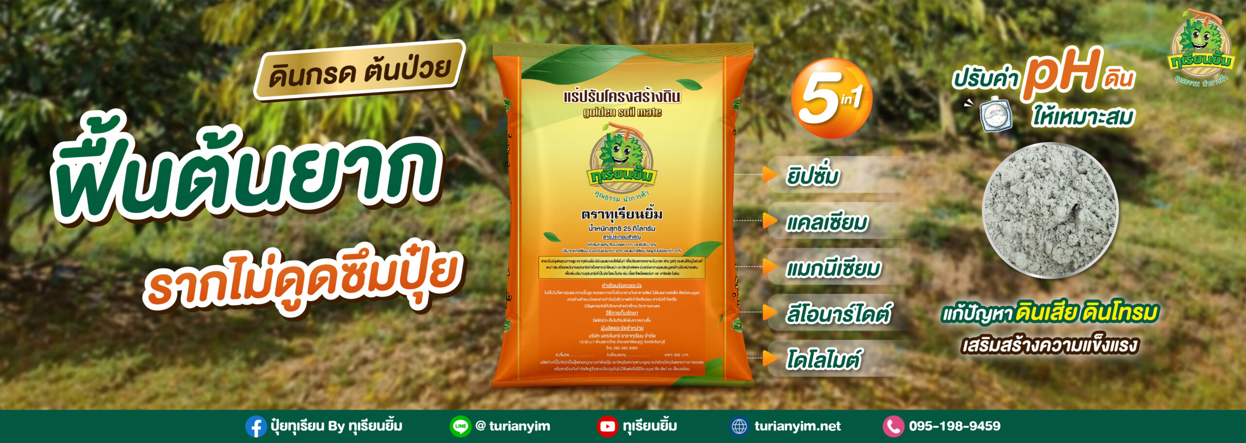 ฟื้นต้นยาก รากไม่ดูดซึมปุ๋ย