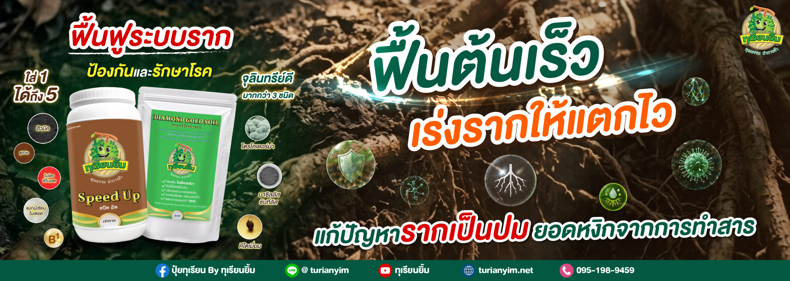 ฟื้นต้นเร็ว เร่งรากให้แตกไว