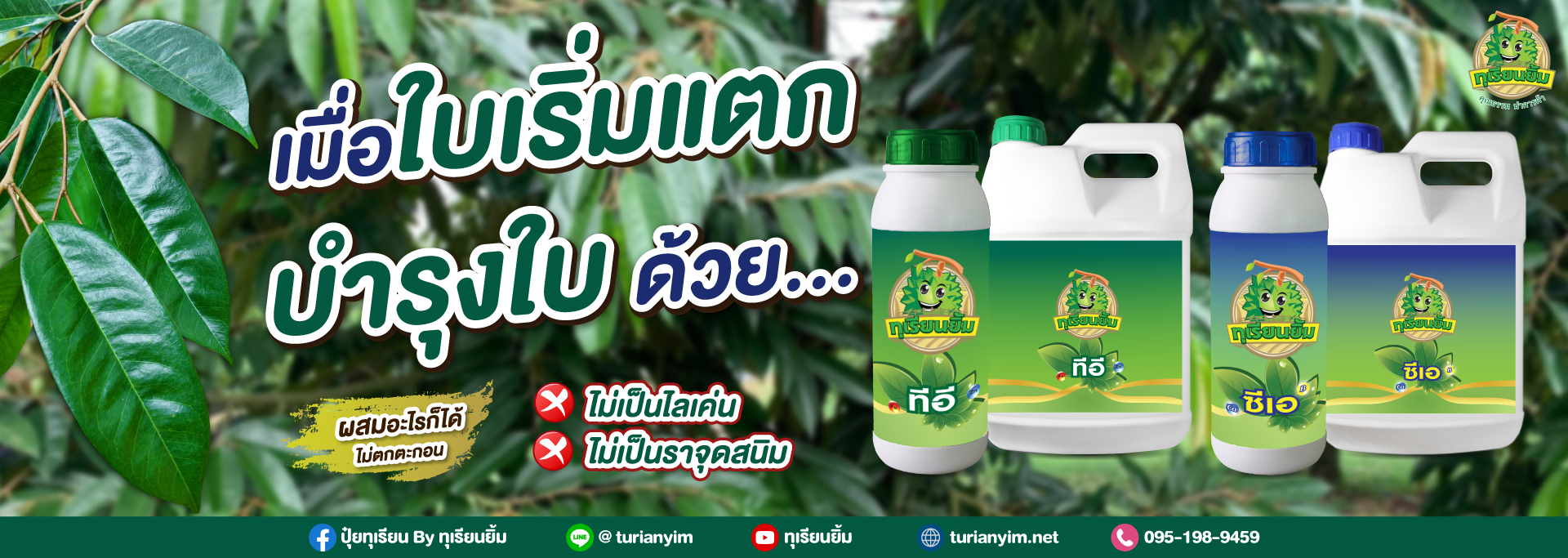 บำรุงใบ-เมื่อใบเริ่มแตก