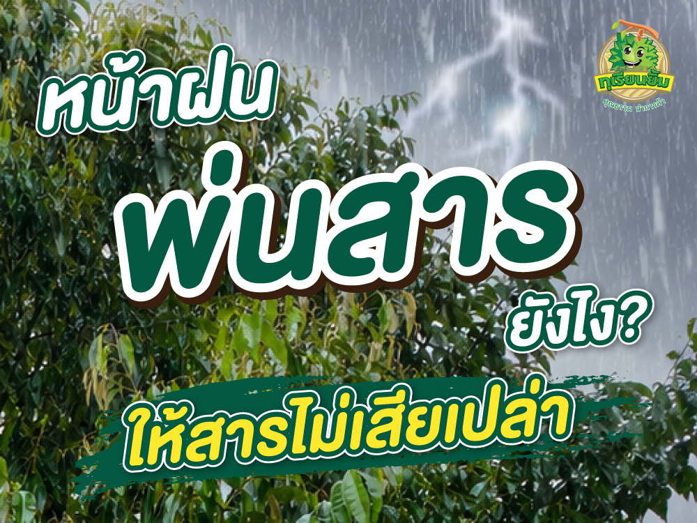 หน้าฝน พ่นสารยังไง ให้สารไม่เสียเปล่า