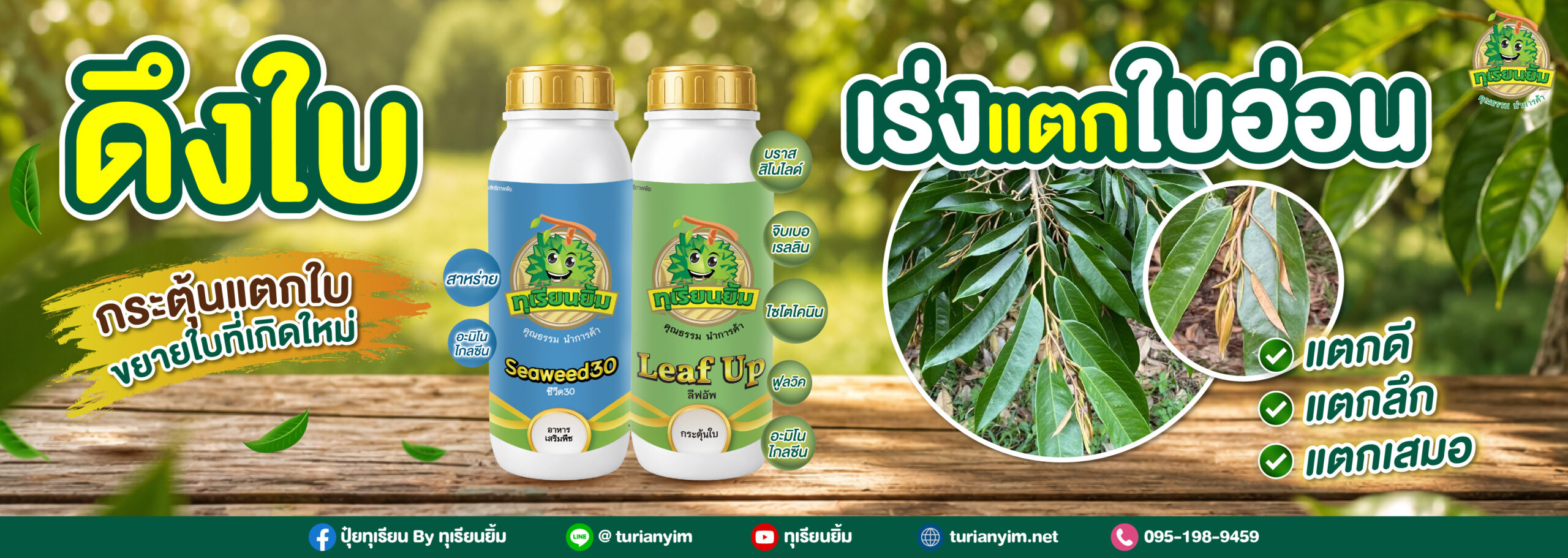 footer-Banner 2569-02