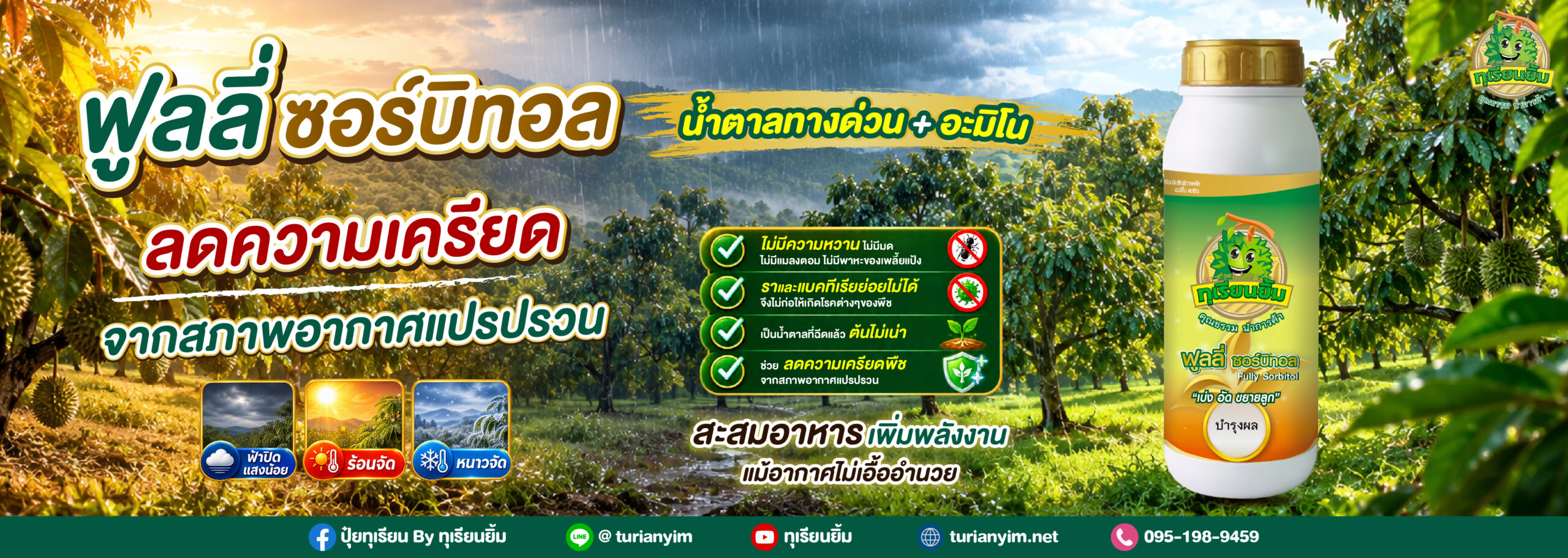 footer-Banner 2569-06