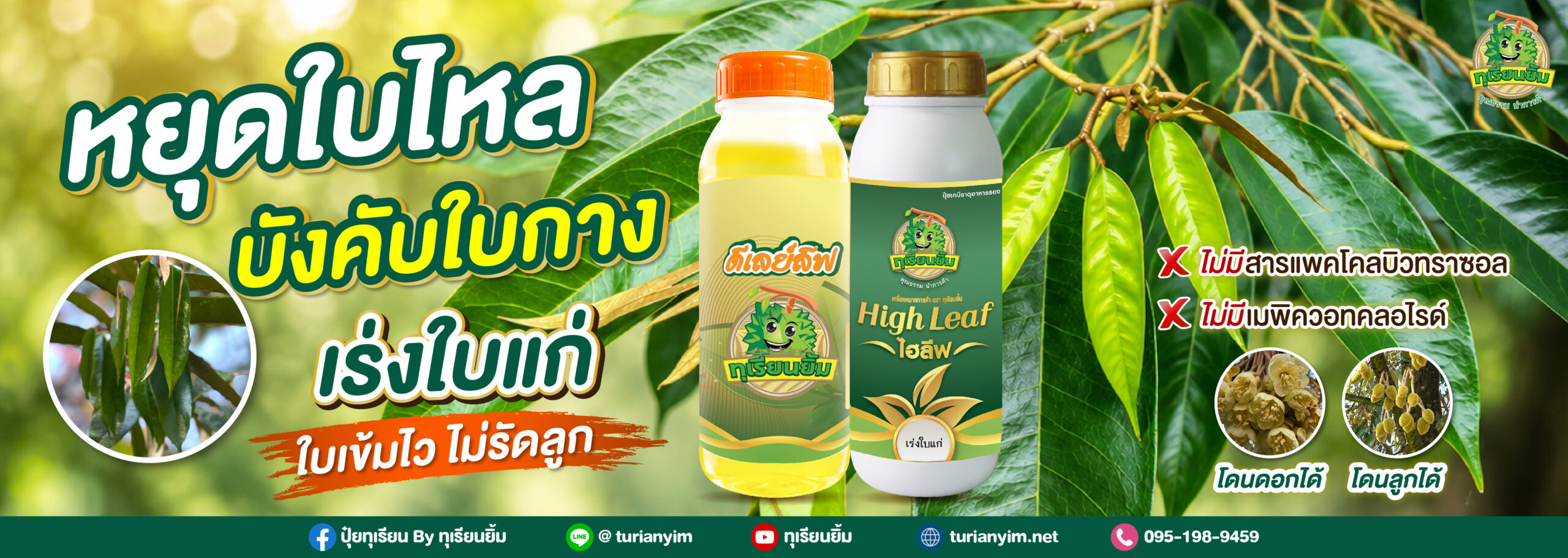 footer-Banner 2569-07