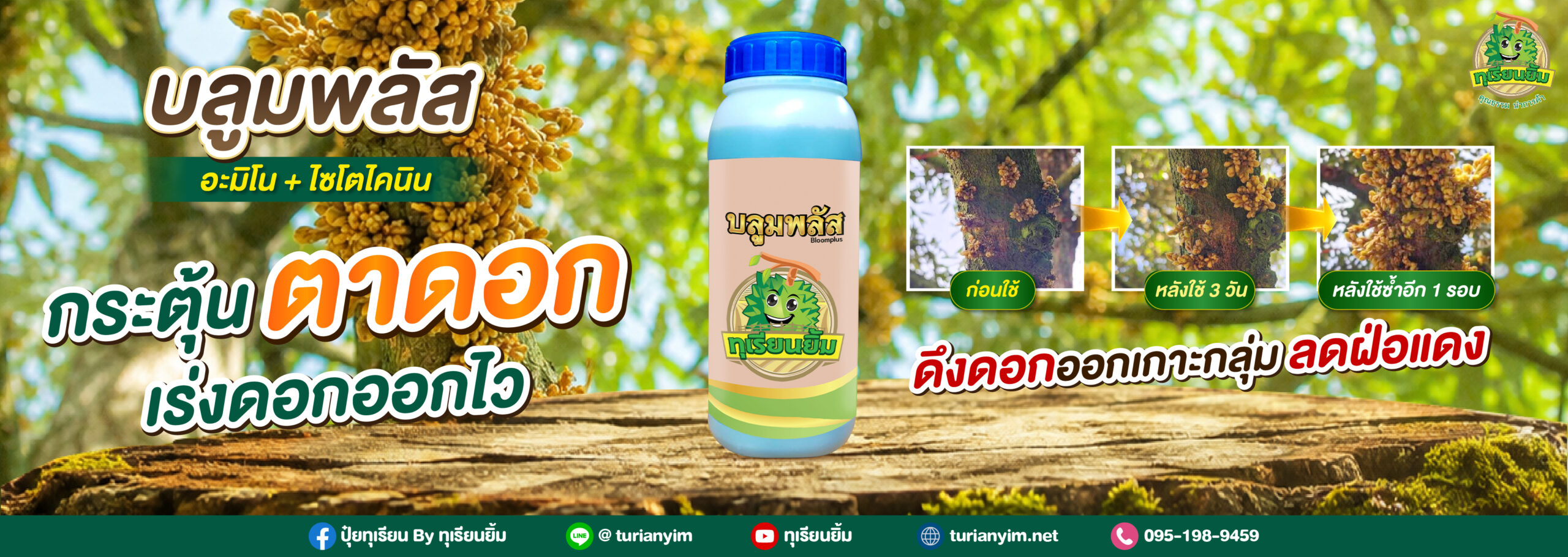 footer-Banner 2569-09